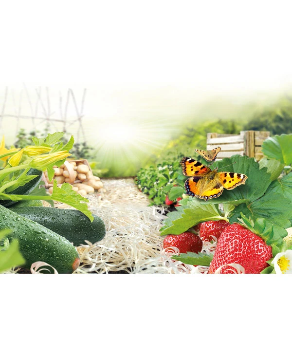 Ziegler Pro Natur® Erdbeer- & Gemüsewolle, 48 X 850 Gramm 5 Ziegler Pro Natur® Erdbeer- & Gemüsewolle, 48 X 850 Gramm - Image 3