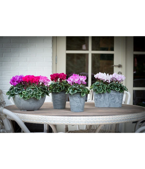 Artstone Kunststoff-Balkonkasten Claire 4 Artstone Kunststoff-Balkonkasten Claire - Image 2