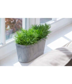 Artstone Kunststoff-Balkonkasten Claire 11 Artstone Kunststoff-Balkonkasten Claire -Gartenserien Verkaufsgeschäft 1676006 WE MO 003 KunststoffTopfClairegrau