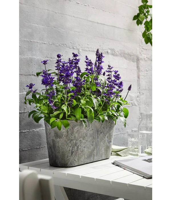 Artstone Kunststoff-Balkonkasten Claire 8 Artstone Kunststoff-Balkonkasten Claire - Image 6