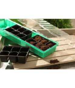 Dehner Zimmergewächshaus Frans, 54 X 15 X 12 Cm -Gartenserien Verkaufsgeschäft 207456 BildM 001 RombergZimmergewaechshausFransFensterbGewH54X15x12