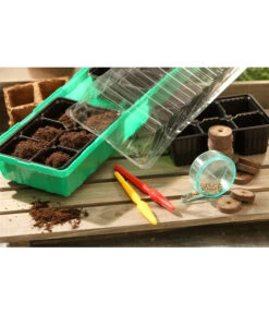 Dehner Zimmergewächshaus Frans, 54 X 15 X 12 Cm -Gartenserien Verkaufsgeschäft 207456 BildM 002 RombergZimmergewaechshausFransFensterbGewH54X15x12