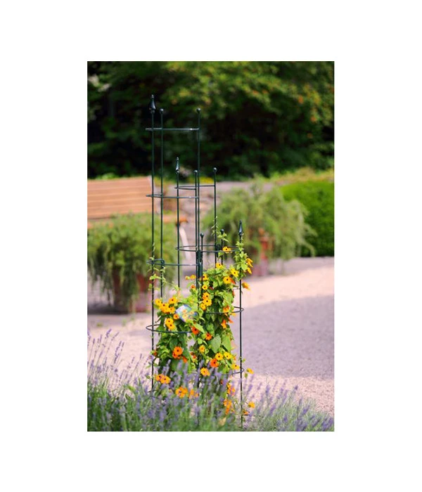 Dehner Halbobelisk 4 Dehner Halbobelisk - Image 2