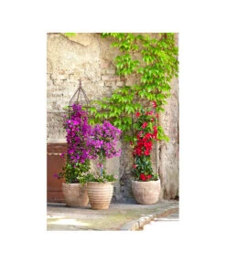 Dehner Halbobelisk 15 Dehner Halbobelisk -Gartenserien Verkaufsgeschäft 2481976 2481596 2481927 WE MO 001 DehnerHalbobelisk