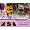 Thompson & Morgan Samen 'Wildblumen-Collection' -Gartenserien Verkaufsgeschäft 2531705 WE FS 001 ThompsonMorganWildblumenCollection