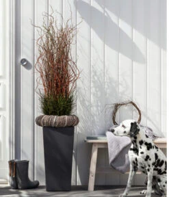 Dehner Kunststoff-Topf Elise, Konisch, Glänzend, Inkl. Bewässerungssystem -Gartenserien Verkaufsgeschäft 2539518 WE MO 003 KunststofftopfEliseAnthrazit