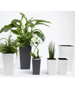 Dehner Kunststoff-Topf Elise, Konisch, Glänzend, Inkl. Bewässerungssystem -Gartenserien Verkaufsgeschäft 2540136 MA FS 007 DehnerKunststofftopfElisemitSelbstbewaesserungsSystemca47x25x25cmanthrazit