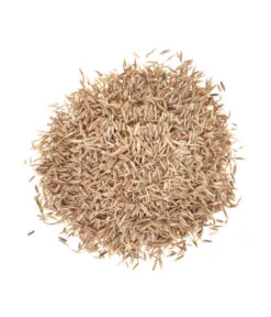 Wolf-Garten Wolf Saatgut Strapazier-Rasen -Gartenserien Verkaufsgeschäft 2682250 BildD 001 WolfRasenSaatgutStrapazierrasenLorettaStrapRasenLoretta25Qm