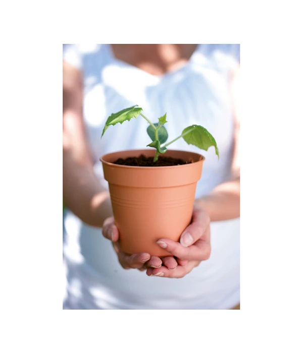 Elho Starter-Set Töpfe, 10 Stück 4 Elho Starter-Set Töpfe, 10 Stück - Image 2