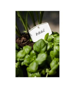 Elho Pflanz-Stift, 5 Stück 7 Elho Pflanz-Stift, 5 Stück -Gartenserien Verkaufsgeschäft 3266806 MO FS 001 PflanzstiftMweissElhoEtikett