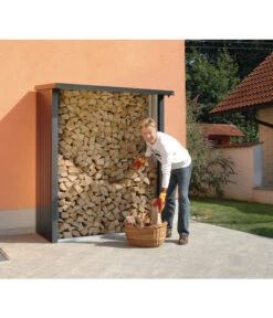 Biohort WoodStock® 150 Für Kaminholz 10 Biohort WoodStock® 150 Für Kaminholz -Gartenserien Verkaufsgeschäft 3661360 WE MO 003 BiohortWoodstock150FuerKaminholzWoodstock150Dunkelgrau
