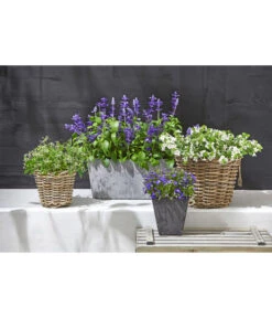 Artstone Kunststoff-Balkonkasten Claire 13 Artstone Kunststoff-Balkonkasten Claire -Gartenserien Verkaufsgeschäft 3679347 5369905 1676006 WE MO 001 RattantopfArtstoneKunststoffTopfKastenClaire