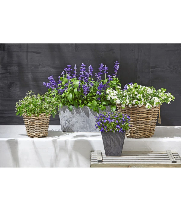 Artstone Kunststoff-Balkonkasten Claire 7 Artstone Kunststoff-Balkonkasten Claire - Image 5