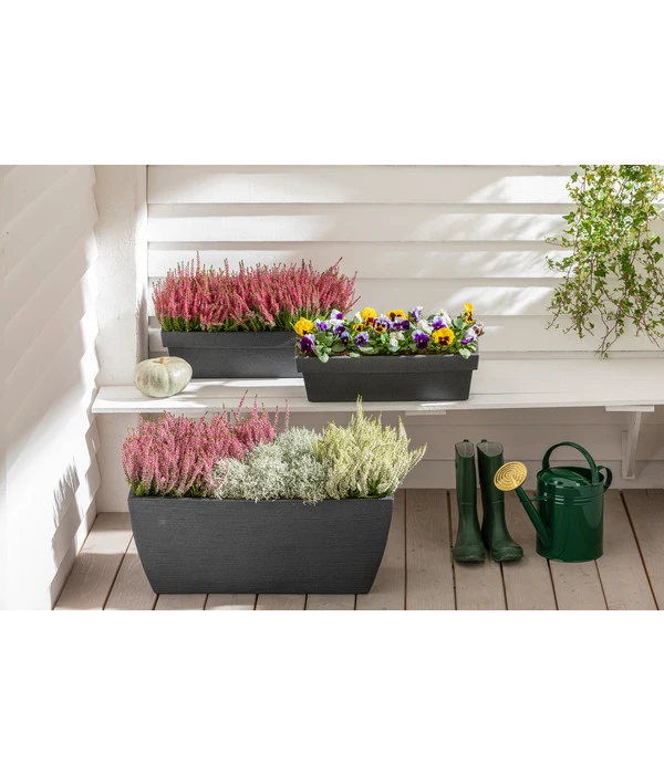 Kunststoff-Pflanzkasten Rille, Ca. B80/H34/T40 Cm, Anthrazit 4 Kunststoff-Pflanzkasten Rille, Ca. B80/H34/T40 Cm, Anthrazit - Image 2