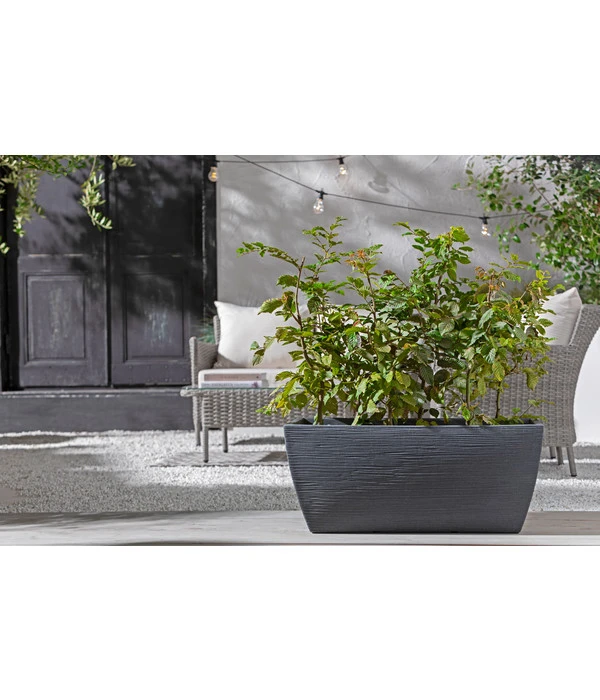 Kunststoff-Pflanzkasten Rille, Ca. B80/H34/T40 Cm, Anthrazit 5 Kunststoff-Pflanzkasten Rille, Ca. B80/H34/T40 Cm, Anthrazit - Image 3