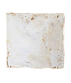 Pilzmännchen Bio Pilzzuchtset Austernpilz -Gartenserien Verkaufsgeschäft 3940285 BildD 002 PilzmaennchenBioHomePilzzuchtsetAusternpilzPilzbrutAusternpilzSet