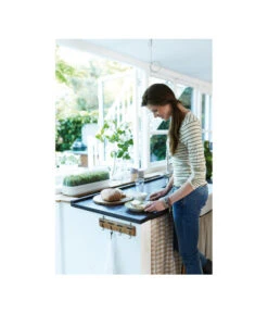 Elho Anzuchthaube L -Gartenserien Verkaufsgeschäft 4026704 WE MO 001 AnzuchthausLTransparentElho