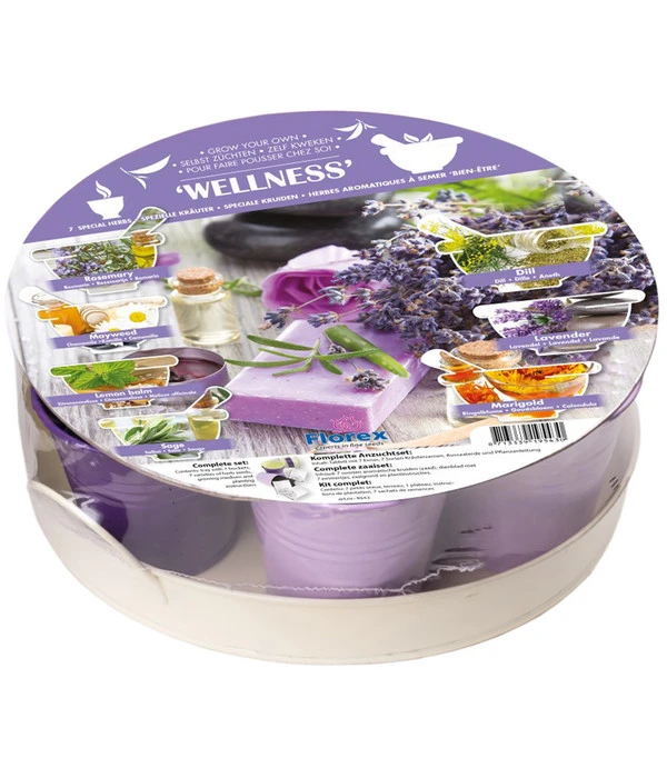 Florex 7-Kräuter Kollektion Wellness 3 Florex 7-Kräuter Kollektion Wellness