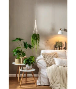 Dehner Makramee-Ampel 13 Dehner Makramee-Ampel -Gartenserien Verkaufsgeschäft 4152484 PR MO 001 TopfFreshBraunGrau 4408951 4408977 4408985 4409132