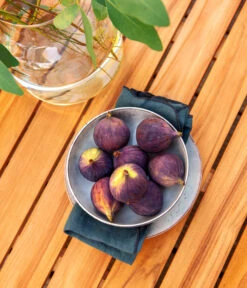 Dehner Aluminium-Lounge Malibu, 2-teilig 19 Dehner Aluminium-Lounge Malibu, 2-teilig -Gartenserien Verkaufsgeschäft 4209870 WE DE 006 LoungeMalibuNEU