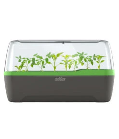 Romberg BoQube Gewächshaus -Gartenserien Verkaufsgeschäft 4299970 WE FS 005 RombergGewaechshausZimmergewaechshausAnzucht