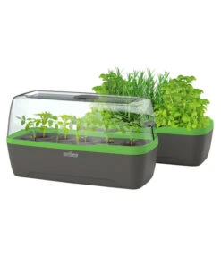 Romberg BoQube Gewächshaus -Gartenserien Verkaufsgeschäft 4299970 WE FS 006 BoQubeGewaechshausZimmergewaechshaus