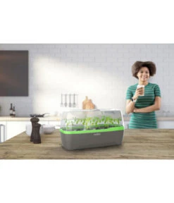 Romberg BoQube Gewächshaus -Gartenserien Verkaufsgeschäft 4299970 WE MO 001 RombergGewaechshausZimmergewaechshausAnzucht