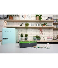 Romberg BoQube Gewächshaus -Gartenserien Verkaufsgeschäft 4299970 WE MO 002 BoQubeGewaechshausZimmergewaechshaus