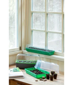 Romberg Zimmergewächshaus 7 Romberg Zimmergewächshaus -Gartenserien Verkaufsgeschäft 4299970 WE MO 004 BoQubeZimmergewaechshaus