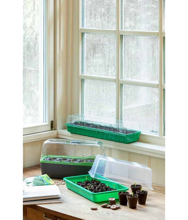 Romberg Zimmergewächshaus 5 Romberg Zimmergewächshaus - Image 3