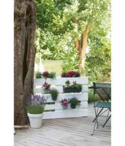 Geli Kunststoff-Pflanzkasten Easy -Gartenserien Verkaufsgeschäft 4314415 4314472 4314530 WE MO 005 GeliKunststoffTopfEasyBlumentopfPflanztopfPalettentopf