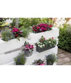 Geli Kunststoff-Pflanzkasten Easy -Gartenserien Verkaufsgeschäft 4314415 4314472 4314530 WE MO 006 GeliKunststoffTopfEasyBlumentopfPflanztopfPalettentopf