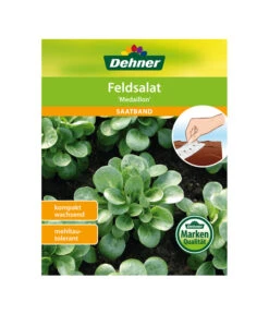 Dehner Samen-Set Easy Going -Gartenserien Verkaufsgeschäft 4322590 WE FS 005 DehnerSamenSaatgutSaemereienSetEasyGoing