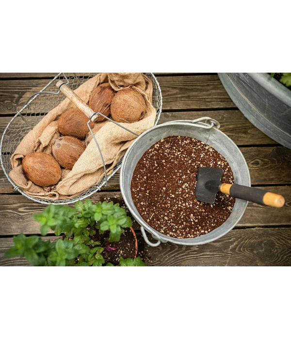 LECHUZA® VEGGIEPON Gemüsepflanzsubstrat 7 LECHUZA® VEGGIEPON Gemüsepflanzsubstrat - Image 5