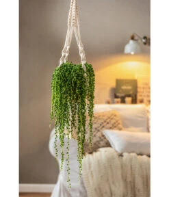 Dehner Makramee-Ampel 12 Dehner Makramee-Ampel -Gartenserien Verkaufsgeschäft 4409132 PR MO 003 AmpelnFreshMakramee