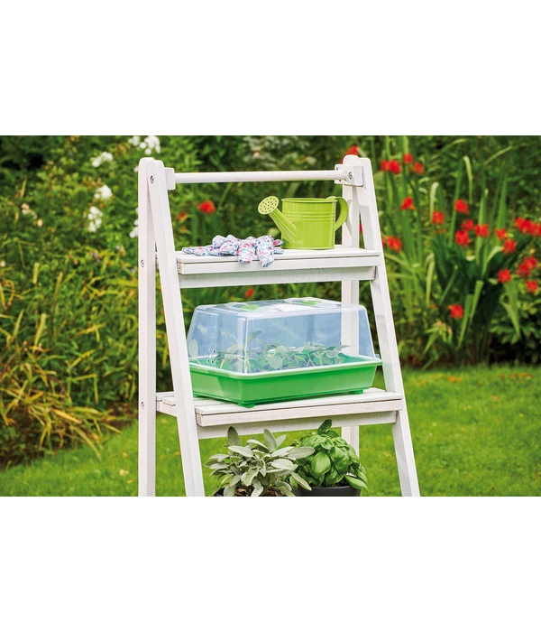 Romberg Zimmergewächshaus 4 Romberg Zimmergewächshaus - Image 2