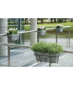 Artstone Kunststoff Blumenkasten Ella -Gartenserien Verkaufsgeschäft 5160486 WE MO 003 KunststoffKastenEllagrau