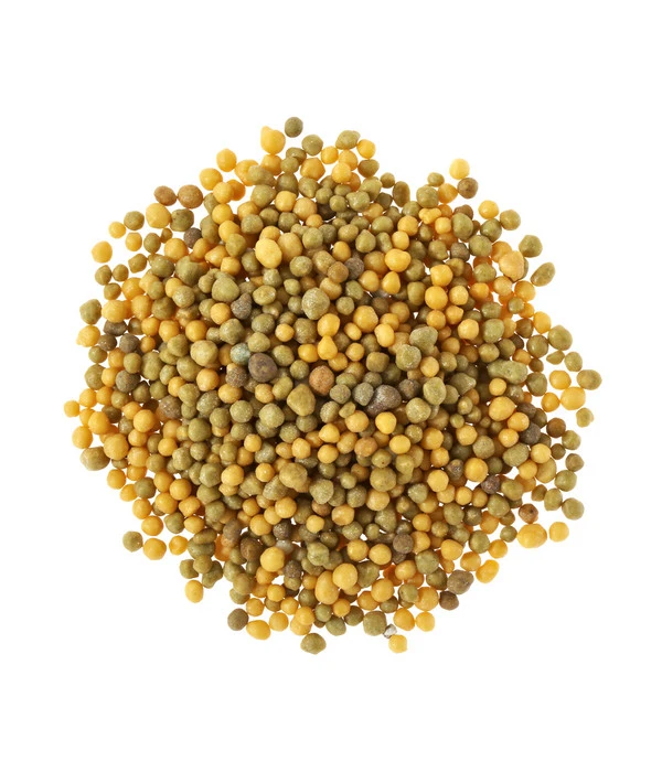 Substral® Osmocote® Langzeit Depotdünger Balkonblumen 4 Substral® Osmocote® Langzeit Depotdünger Balkonblumen – Bild 2