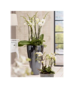 Dehner Keramik-Vase Valencia, Konisch -Gartenserien Verkaufsgeschäft 5418439 PR MO 001 SerieValenciaSchwarz