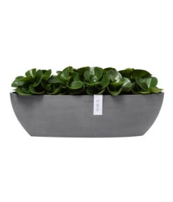Ecopots Kunststoff-Schale Sofia Mit Wassersystem, Oval, Ca. B56/H16/T14 Cm -Gartenserien Verkaufsgeschäft 6614580 WE FS 003 EcopotsKunststoffSchaleSofialangmitWassersystemoval