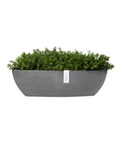Ecopots Kunststoff-Schale Sofia Mit Wassersystem, Oval, Ca. B56/H16/T14 Cm -Gartenserien Verkaufsgeschäft 6614580 WE FS 004 EcopotsKunststoffSchaleSofialangmitWassersystemoval