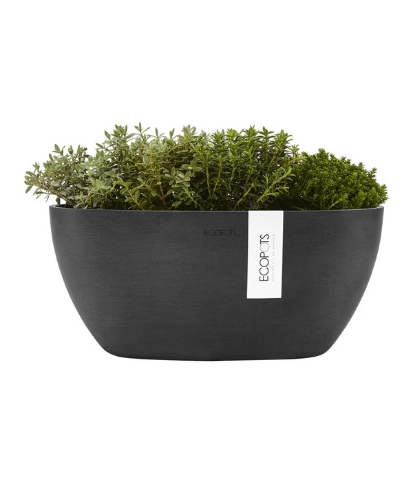 Ecopots Kunststoff-Schale Sofia Mit Wassersystem, Oval, Dunkelgrau, Ca. B30/H13,5/T13 Cm 5 Ecopots Kunststoff-Schale Sofia Mit Wassersystem, Oval, Dunkelgrau, Ca. B30/H13,5/T13 Cm - Image 3