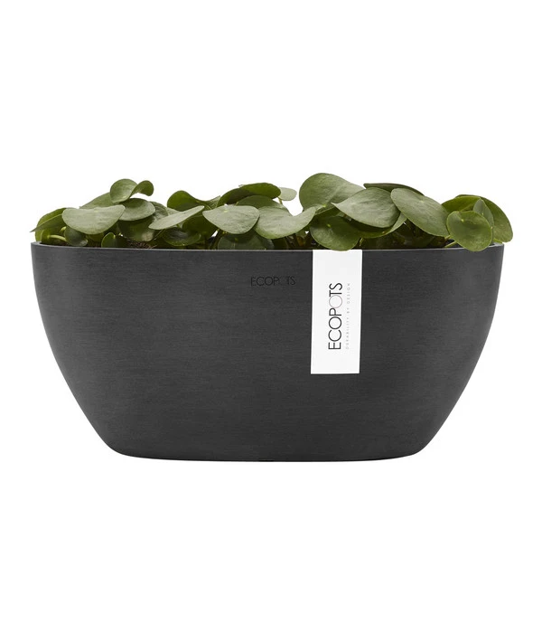 Ecopots Kunststoff-Schale Sofia Mit Wassersystem, Oval, Dunkelgrau, Ca. B30/H13,5/T13 Cm 6 Ecopots Kunststoff-Schale Sofia Mit Wassersystem, Oval, Dunkelgrau, Ca. B30/H13,5/T13 Cm - Image 4