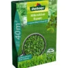 Dehner Saatgut Mikroklee-Rasensaatmischung -Gartenserien Verkaufsgeschäft 6728646 WE FS 001 MikrokleeRasen