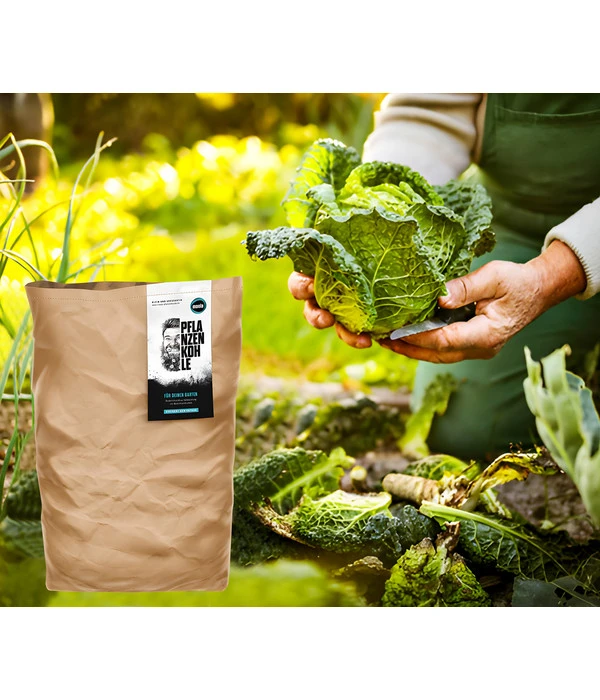 Moola Pflanzenkohle 4 Moola Pflanzenkohle - Image 2