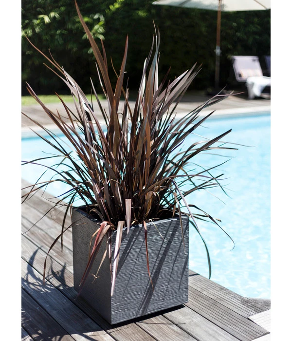 EDA-plastiques Kunststoff-Topf Graphit, Gerillt 5 EDA-plastiques Kunststoff-Topf Graphit, Gerillt - Image 3