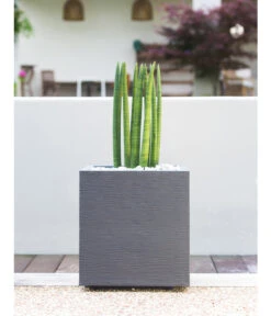 EDA-plastiques Kunststoff-Topf Graphit, Gerillt 11 EDA-plastiques Kunststoff-Topf Graphit, Gerillt -Gartenserien Verkaufsgeschäft 6763643 WE MO 003 PflanztopfGrap40x40