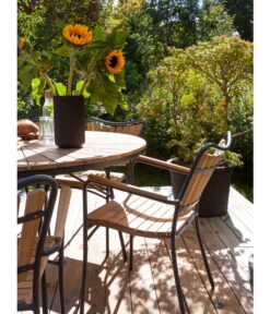 Cinas Stapelstuhl Ellen -Gartenserien Verkaufsgeschäft 6843569 WE MO 002 EllenArmlehnstuhl