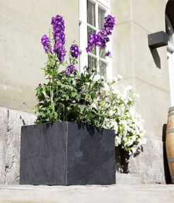 Climaqua Schiefer-Kasten Recto, Rechteckig -Gartenserien Verkaufsgeschäft 6877898 WE MO 001 ClimaquaSchieferKastenRectorechteckig