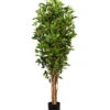 Gasper Kunstpflanze Ficus Benjamini, Ca. H150 Cm 1 Gasper Kunstpflanze Ficus Benjamini, Ca. H150 Cm -Gartenserien Verkaufsgeschäft 6934590 WE FS 001 FicusBenjaminiH150cm